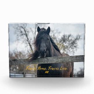 Para Fotos Bloque fotográfico AHT