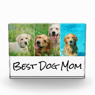 Para Fotos Bloque fotográfico de la mejor madre del perro