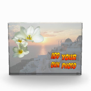 Para Fotos Bloque fotográfico de las Flores de Tulipanes sole