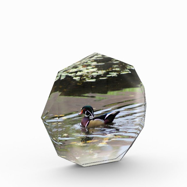 Para Fotos Bloque fotográfico de pato salvaje (Izquierda)