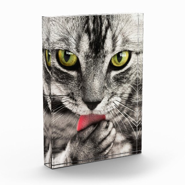 Para Fotos Bloque fotográfico de retrato de gato corto (Izquierda)