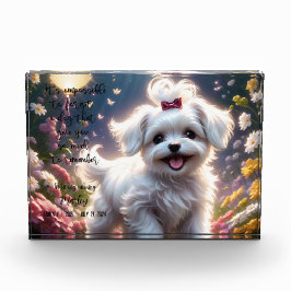 Para Fotos Bloque fotográfico en memoria de mascota Loss