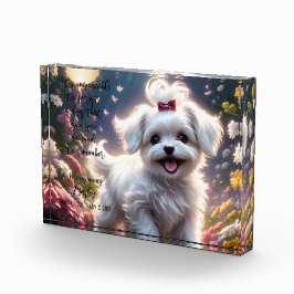Para Fotos Bloque fotográfico en memoria de mascota Loss