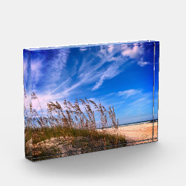 Para Fotos Bloque fotográfico "Florida Sea Oats"