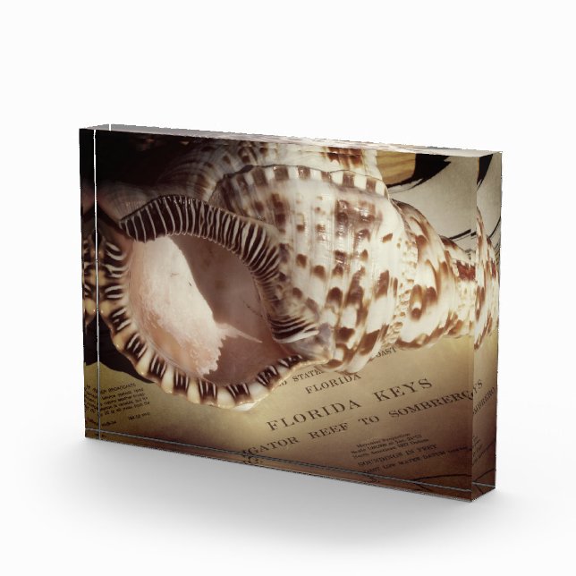 Para Fotos Bloque fotográfico - Gráfico de shell de las tecla (Derecha)