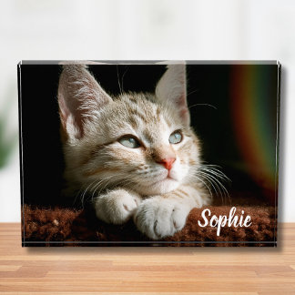 Para Fotos Bloque fotográfico mascota
