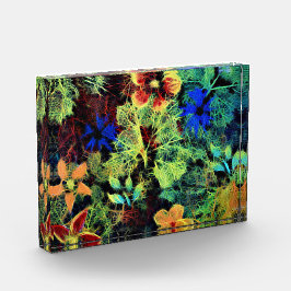 Para Fotos Está en el bloque acrílico de colores