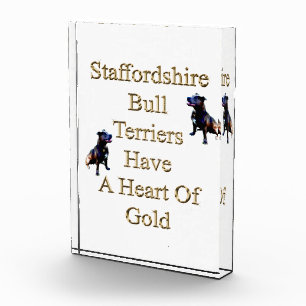 Para Fotos Gold Heart Staffordshire Bull Terrier, Bloque de f
