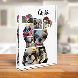Para Fotos Querido perro familiar mantiene el bloque de Colla