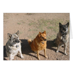 Para invitaciones que esperan