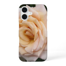 Floral Blackberry funda audaz con Rosa romántico