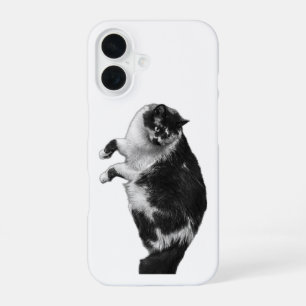 Para iPhone 16 Funda de teléfono de gato con bigotes al revés