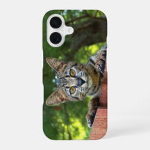 Funda de teléfono de gato de Savannah