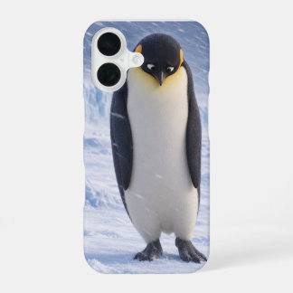 Para iPhone 16 Funda de teléfono de pájaro de invierno adorable p