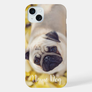 Cambia el nombre de tu perro Pug en la funda de te