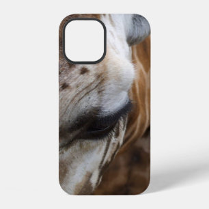 Para iPhone 12 Funda de teléfono con cara de jirafa