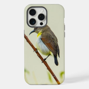 Funda de teléfono Nature Bird
