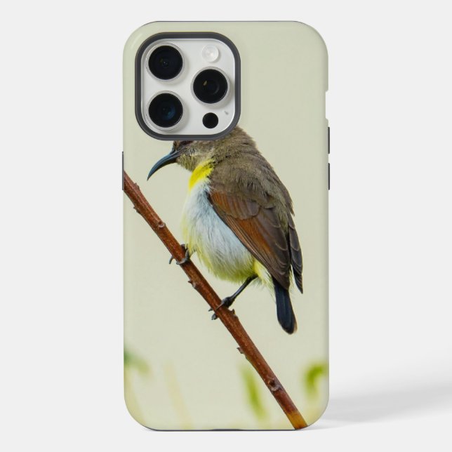 Para iPhone Funda de teléfono Nature Bird (Reverso )
