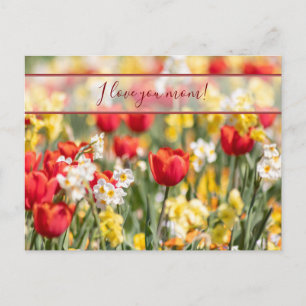 ¡Para la mejor mamá del mundo! tarjeta postal