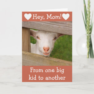Para la tarjeta de cumpleaños de mamá bebé cabra