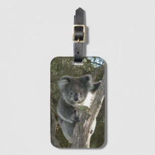 Para Maletas Cute Koala subiendo una etiqueta de equipaje de ár