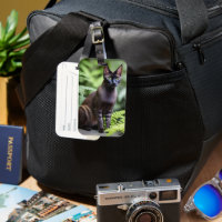 Dexter El Gato Siamés Negro, Etiqueta De Equipaje