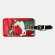 Dupree y Andy: etiqueta de equipaje de gato corto