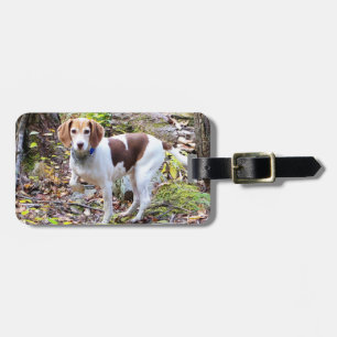 Para Maletas Etiqueta de equipaje Beagle