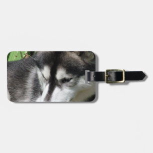 Para Maletas Etiqueta de equipaje con perfil de Husky