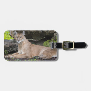 Para Maletas Etiqueta de equipaje de Florida Panther