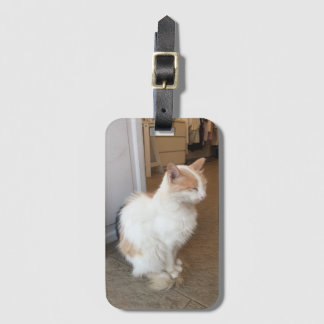Para Maletas Etiqueta de equipaje de gato