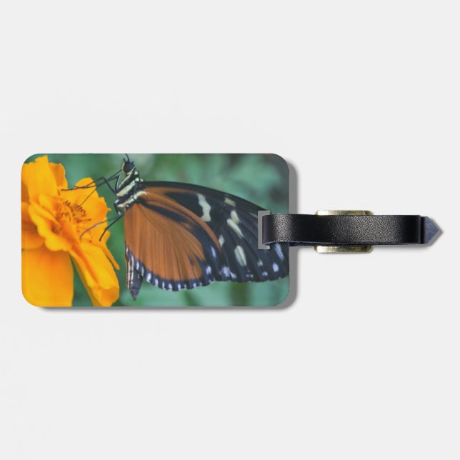 Para Maletas Etiqueta de equipaje de mariposa (Atrás Horizontal)