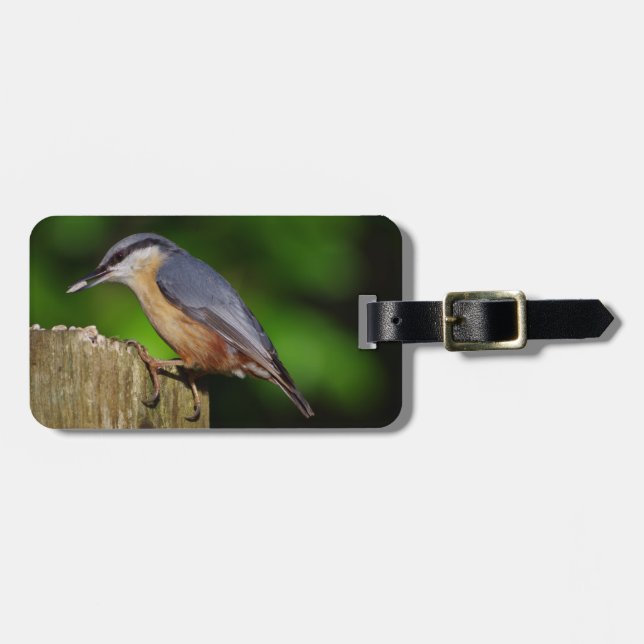 Para Maletas Etiqueta de equipaje de nuthatch (Frente Horizontal)