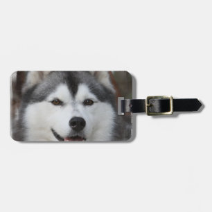 Para Maletas Etiqueta de equipaje de perro Husky