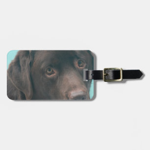 Para Maletas Etiqueta de equipaje de perro labrador chocolate