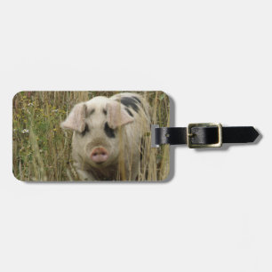 Para Maletas Etiqueta de equipaje de Personalizado de cerdo