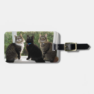 Para Maletas Etiqueta de equipaje de tres amigos de gato