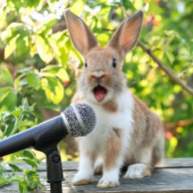 Etiqueta de equipaje fácil de encontrar