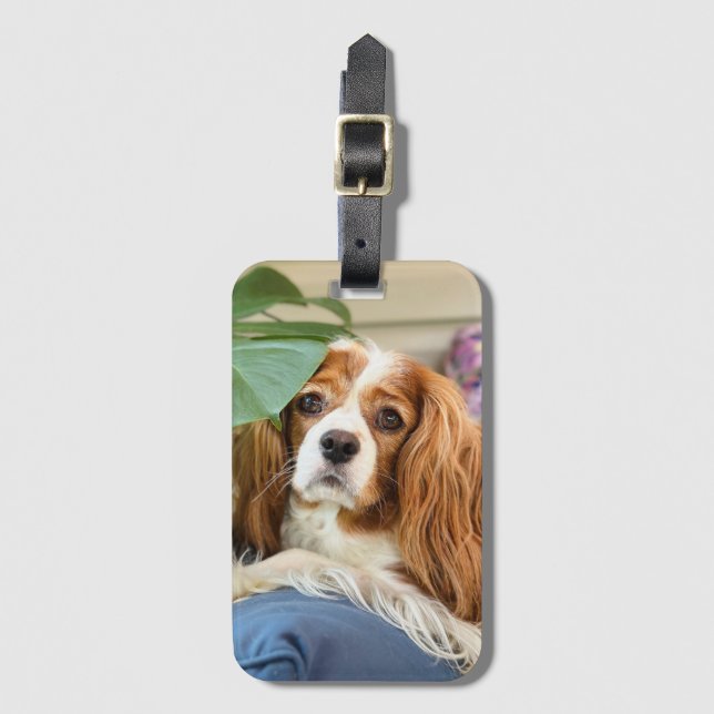 Para Maletas Etiqueta de equipaje King Charles Cavalier (Anverso vertical)