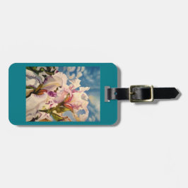 Para Maletas etiqueta del accesorio o del equipaje del monedero