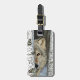 Para Maletas etiqueta del equipaje con la foto del lobo gris en