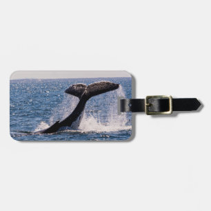 Para Maletas Etiqueta del equipaje de la ballena de Humback -