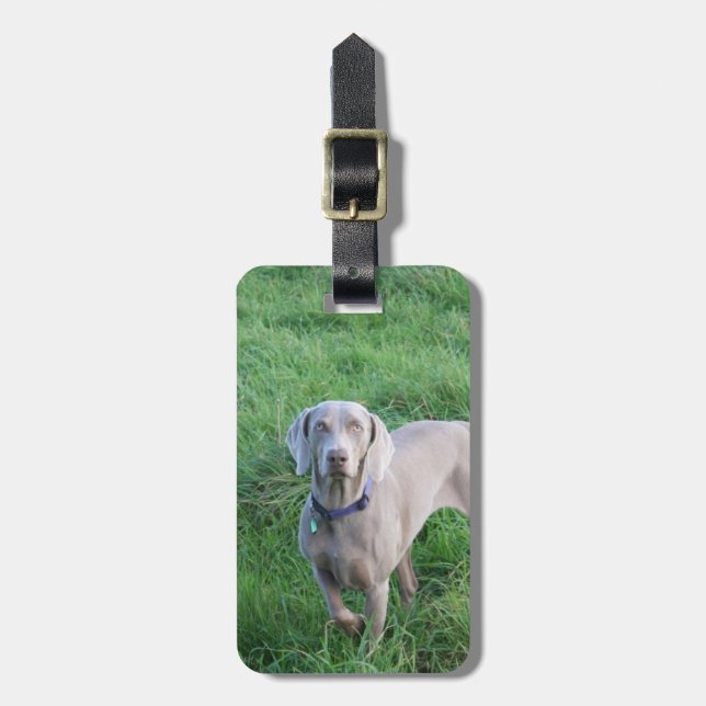 Para Maletas Etiqueta del equipaje de los amantes de Weimaraner (Frente Vertical)
