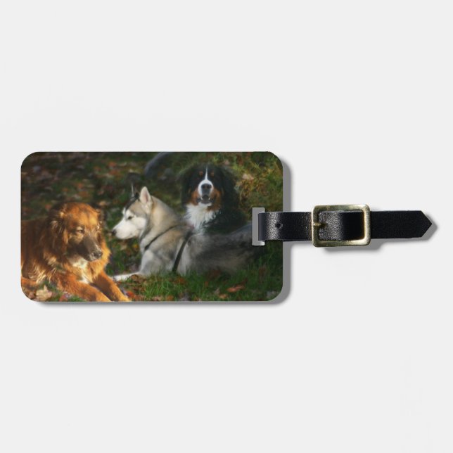 Para Maletas Etiqueta del equipaje de los perros (Frente Horizontal)