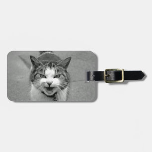 Para Maletas Etiqueta del equipaje del gato de Crabby
