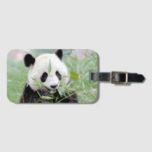 Para Maletas Etiqueta del equipaje gigante panda 2 .