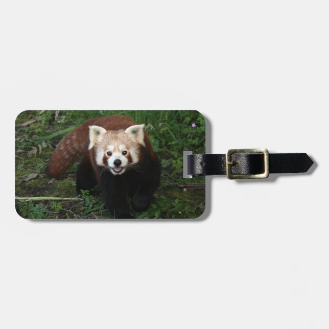 Para Maletas Etiqueta del equipaje - panda roja (Frente Horizontal)