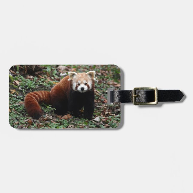 Para Maletas Etiqueta del equipaje - panda roja 3 (Frente Horizontal)
