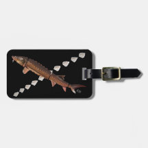 Etiqueta del esturión de Shortnose y del equipaje