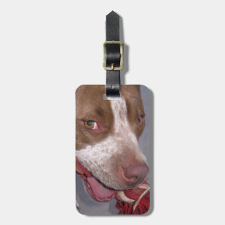 Para Maletas Etiqueta fresca del equipaje de Pitbull